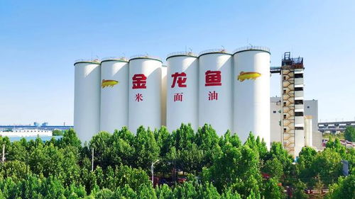 益海嘉里金龍魚(yú)八赴進(jìn)博之約 以科技健康雙輪驅(qū)動(dòng)，三季度業(yè)績(jī)穩(wěn)中有進(jìn)